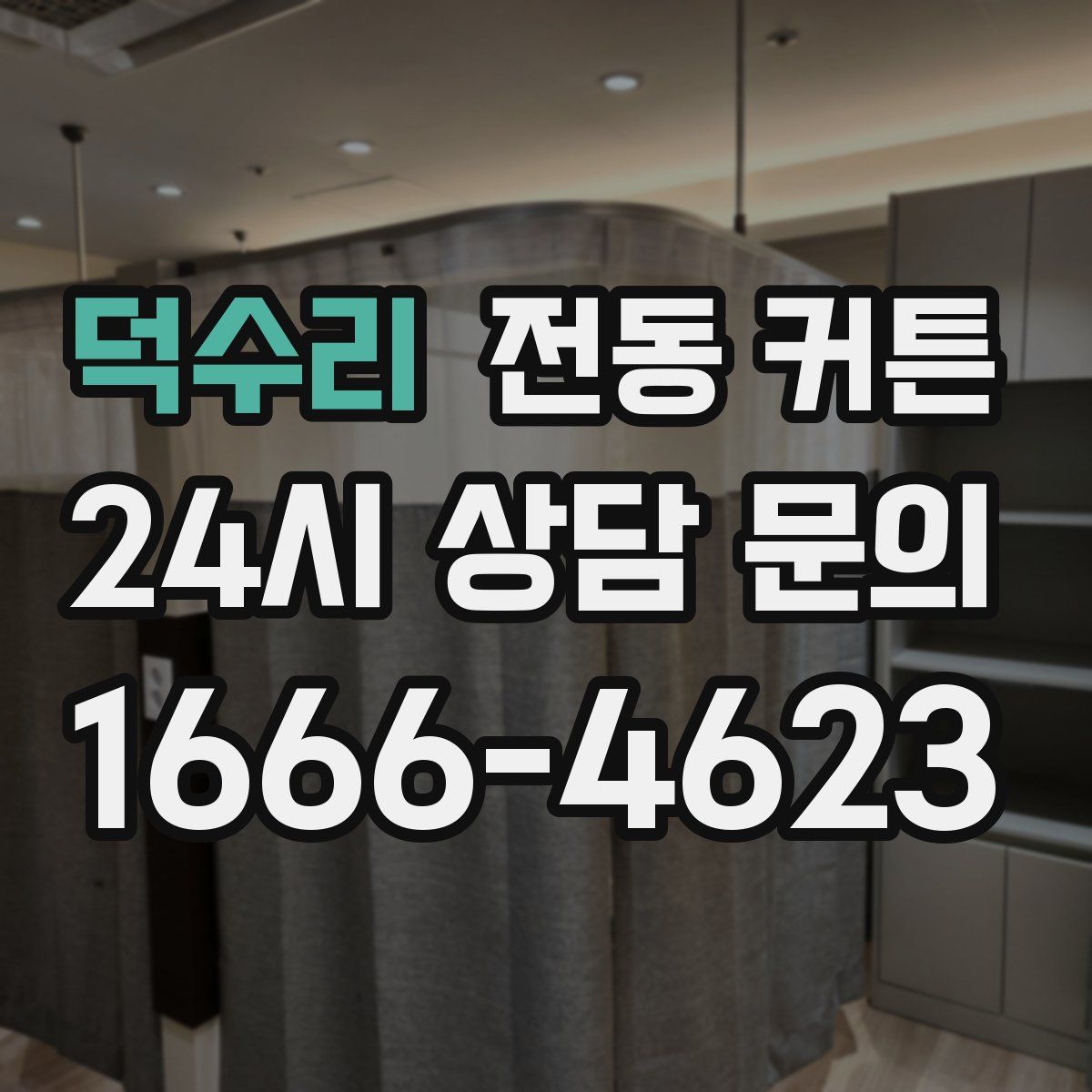 덕수리 전동 커튼