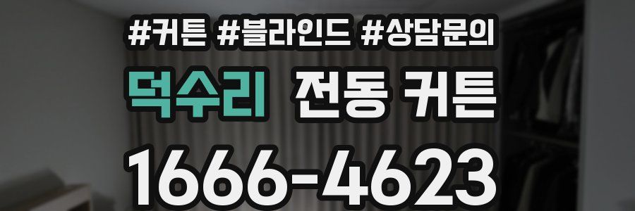 덕수리 전동 커튼