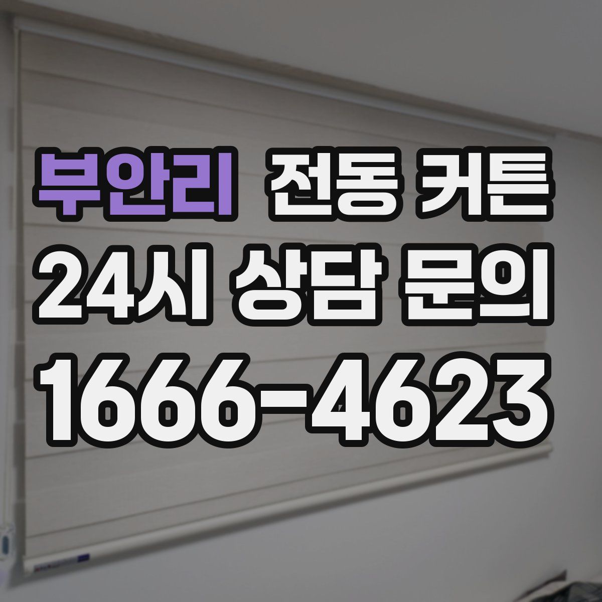 부안리 전동 커튼