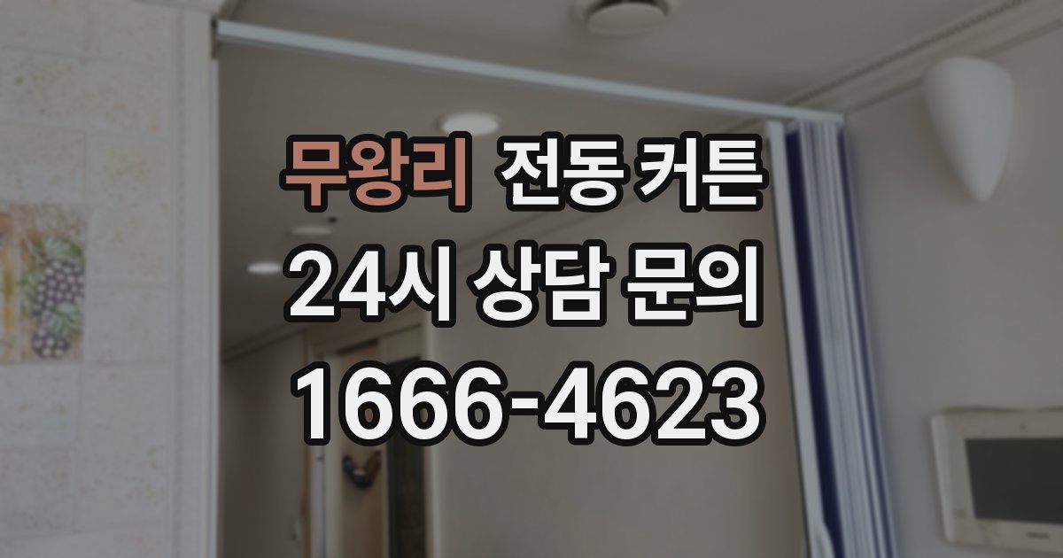 무왕리 전동 커튼