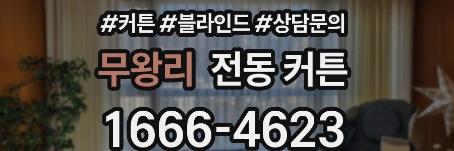 무왕리 전동 커튼