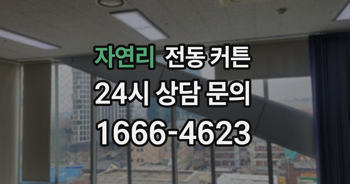 자연리 전동 커튼