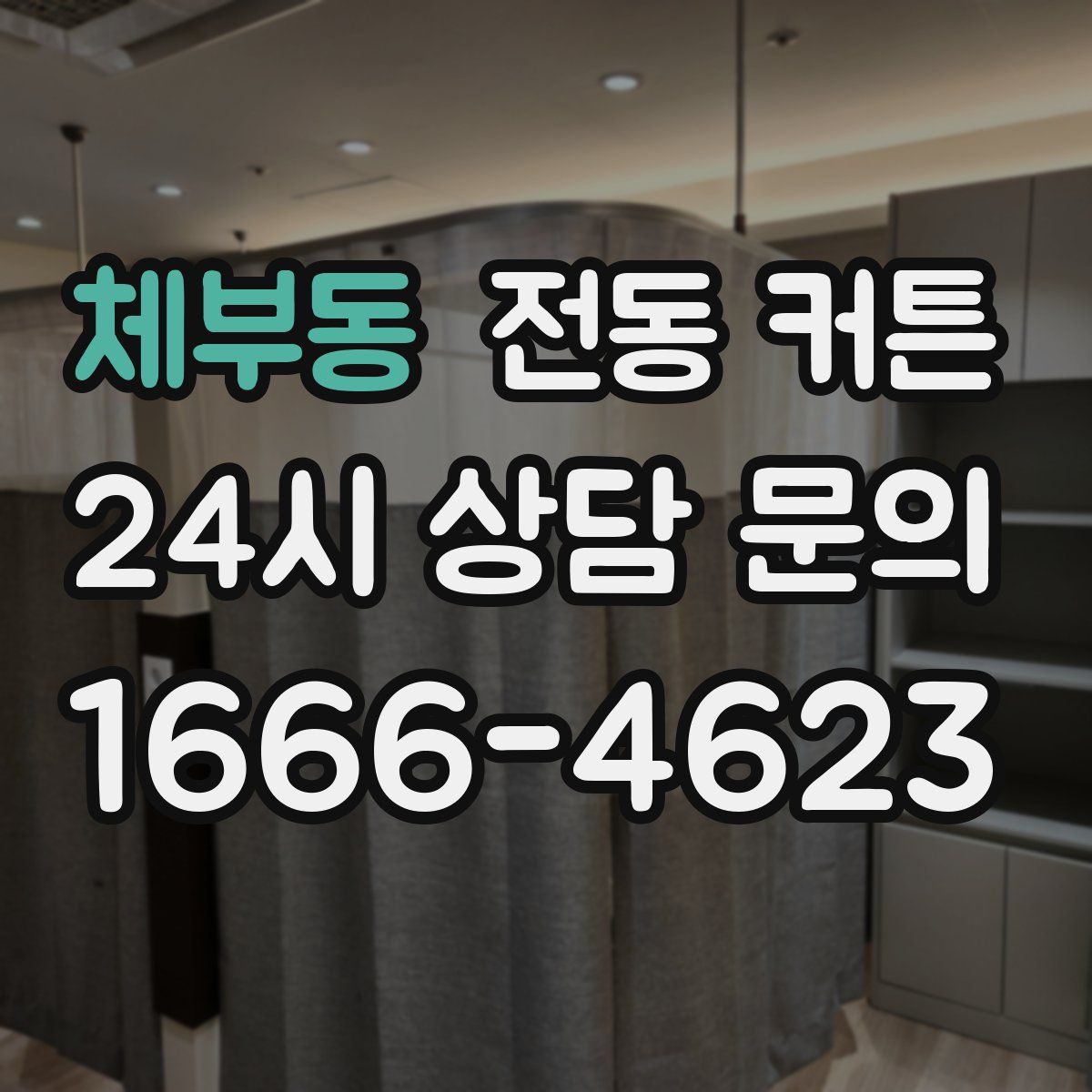 체부동 전동 커튼