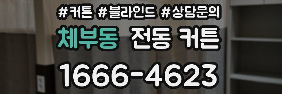 체부동 전동 커튼