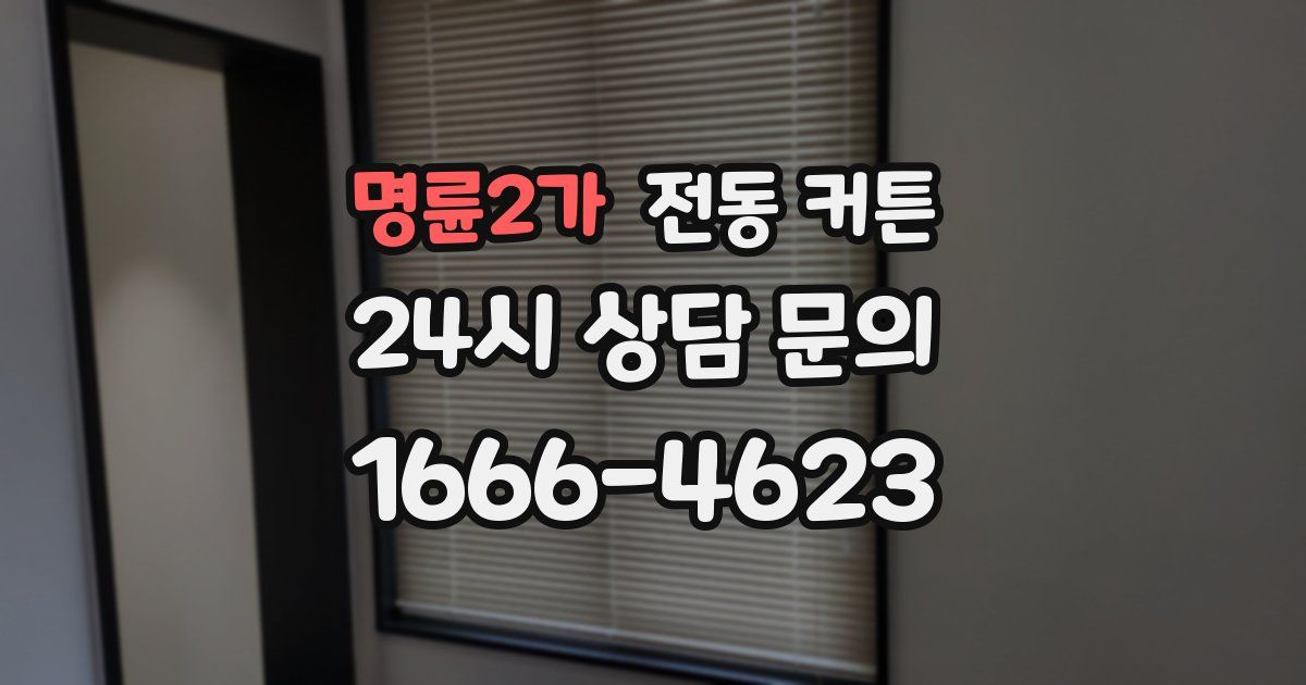 명륜2가 전동 커튼
