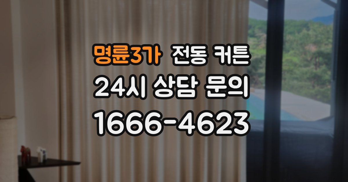 명륜3가 전동 커튼