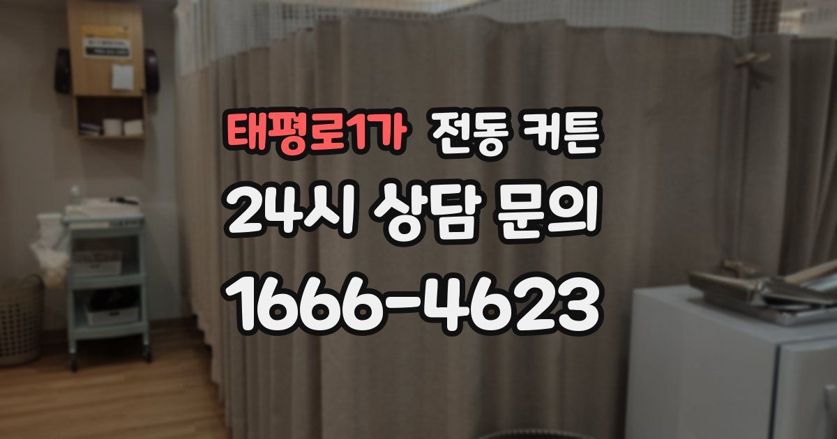 태평로1가 전동 커튼