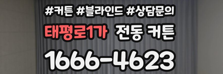 태평로1가 전동 커튼