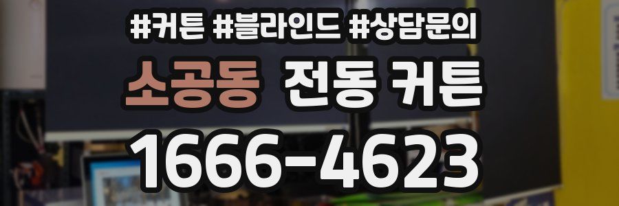 소공동 전동 커튼
