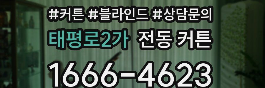 태평로2가 전동 커튼