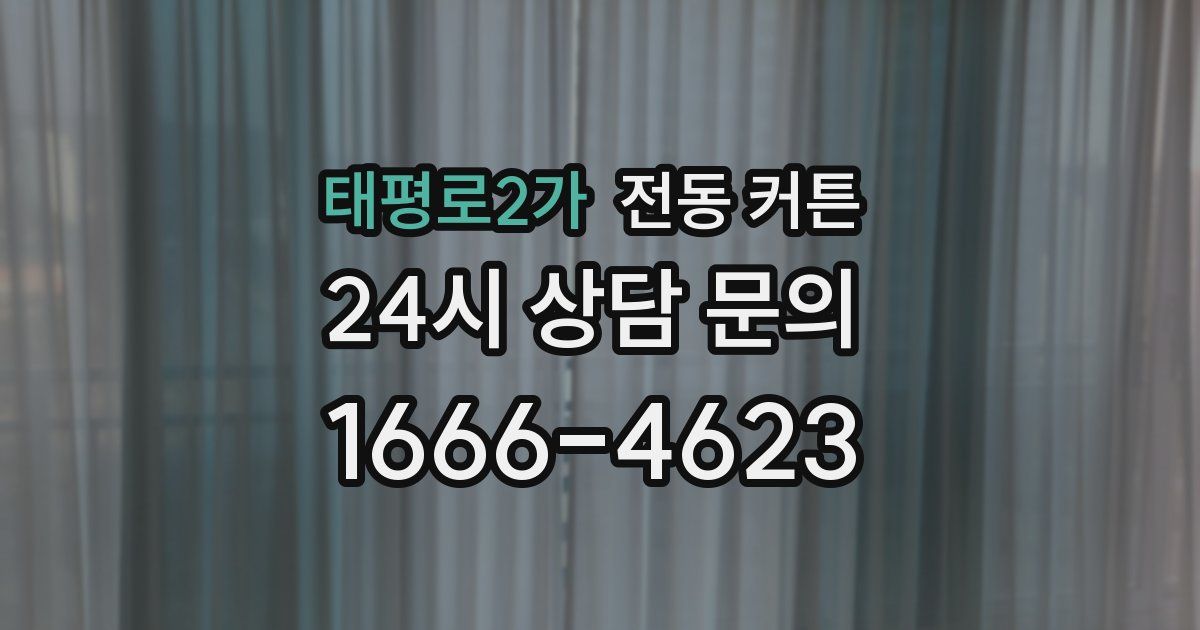 태평로2가 전동 커튼