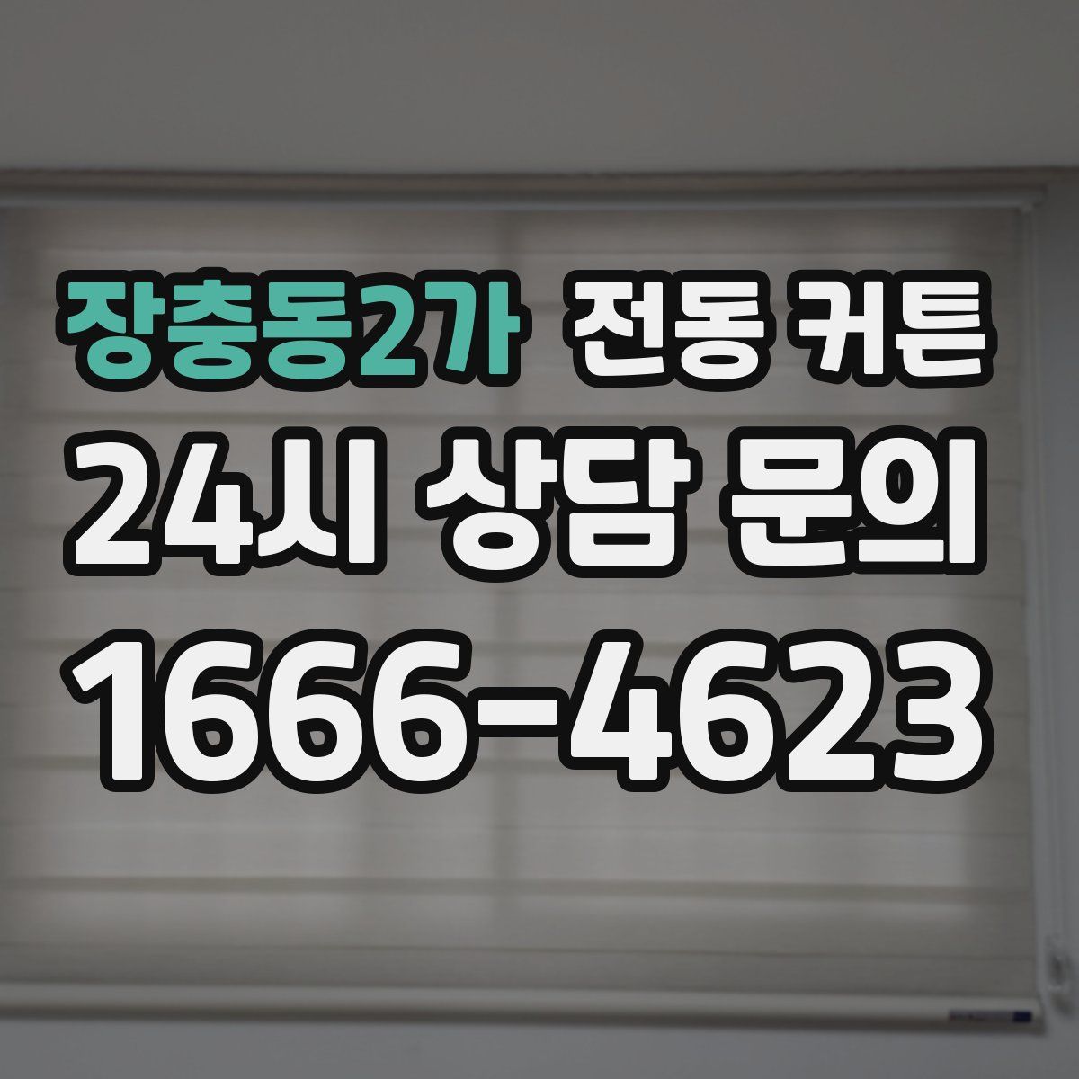 장충동2가 전동 커튼