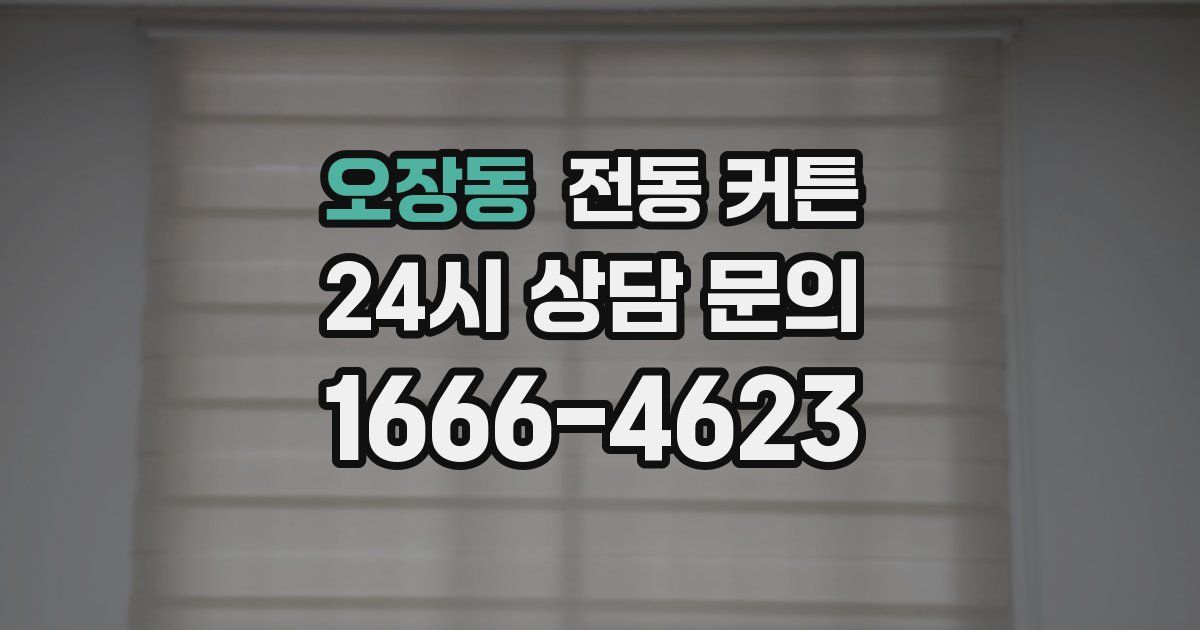 오장동 전동 커튼