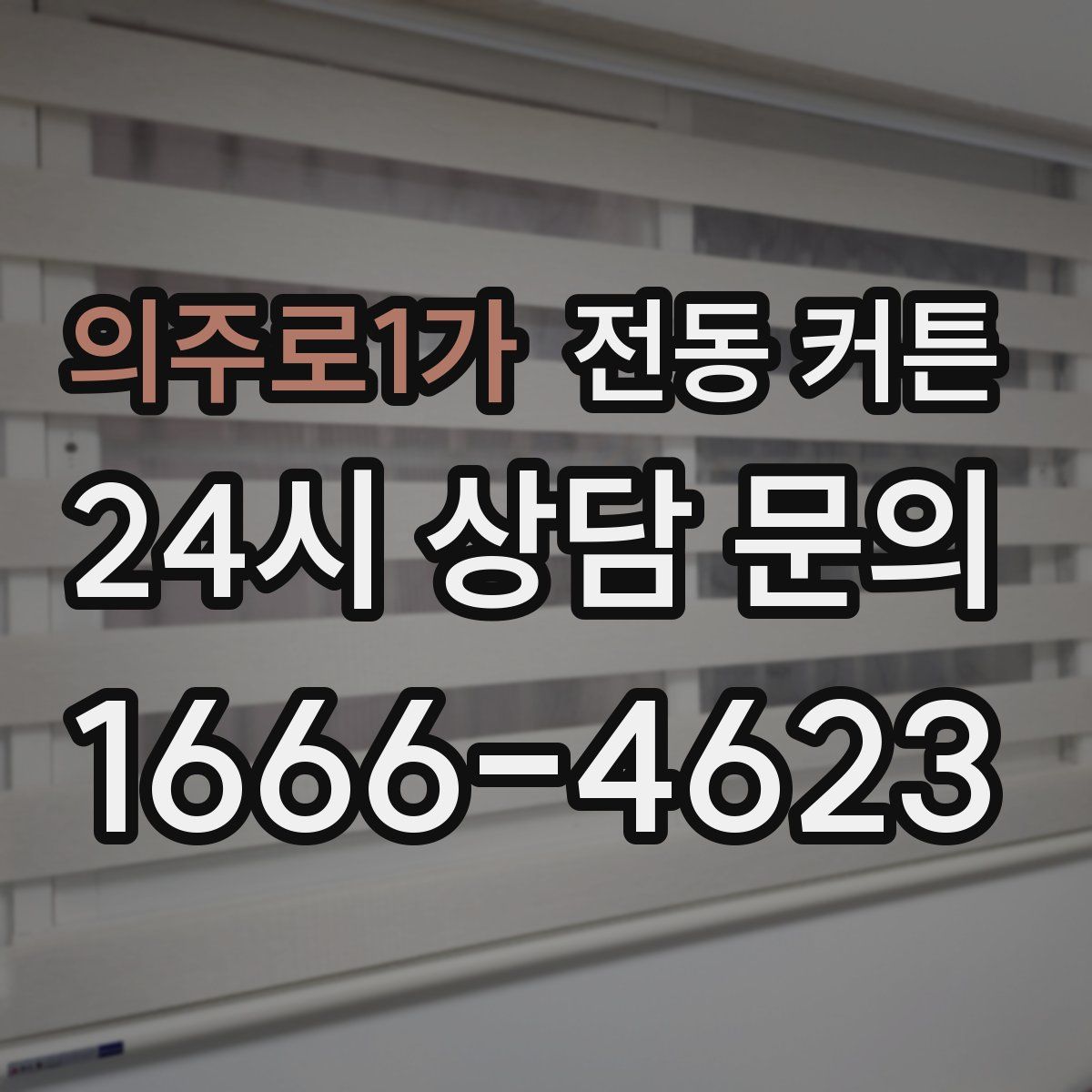 의주로1가 전동 커튼