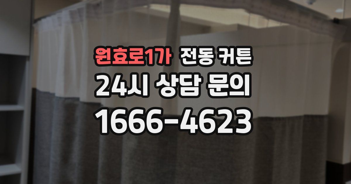 원효로1가 전동 커튼