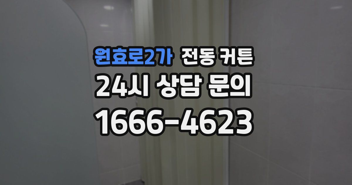 원효로2가 전동 커튼