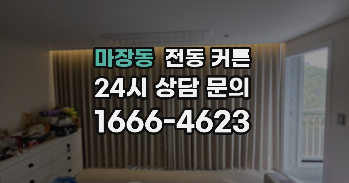 마장동 전동 커튼