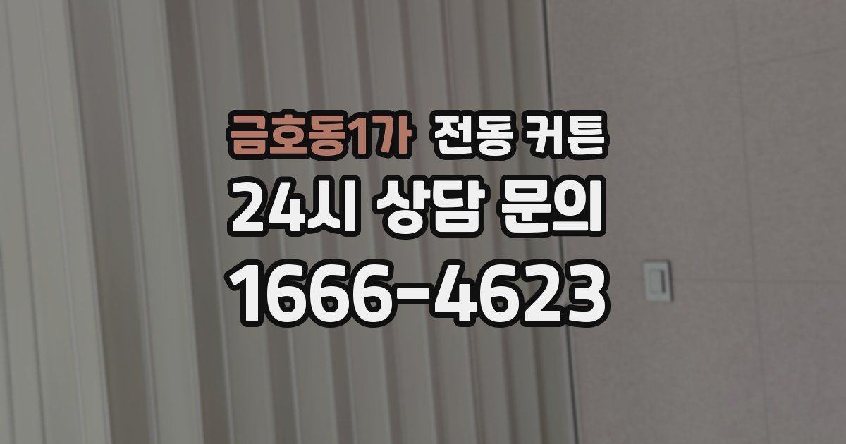 금호동1가 전동 커튼