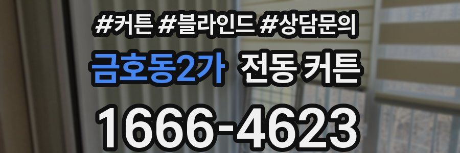 금호동2가 전동 커튼