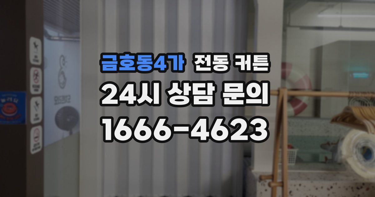 금호동4가 전동 커튼