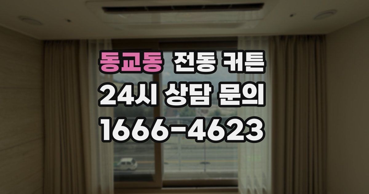 동교동 전동 커튼
