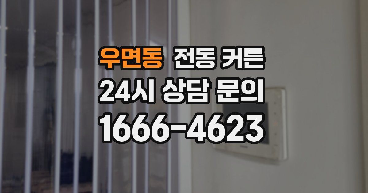 우면동 전동 커튼