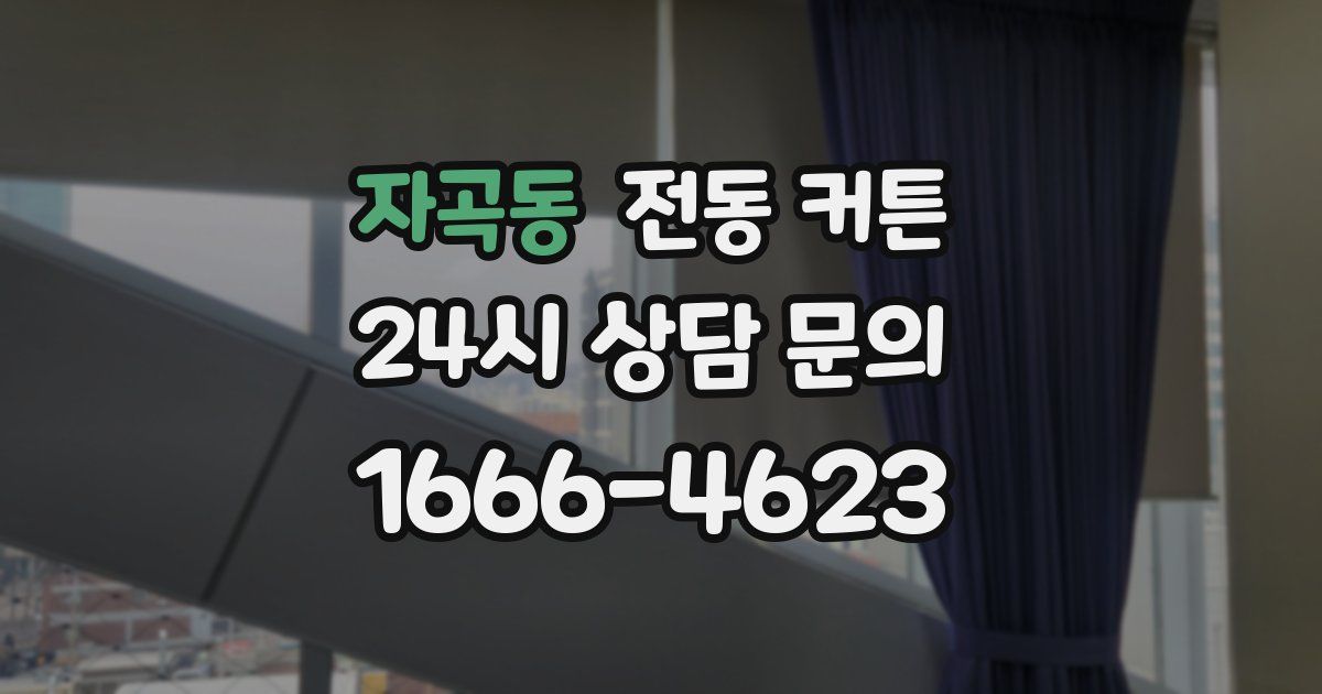 자곡동 전동 커튼