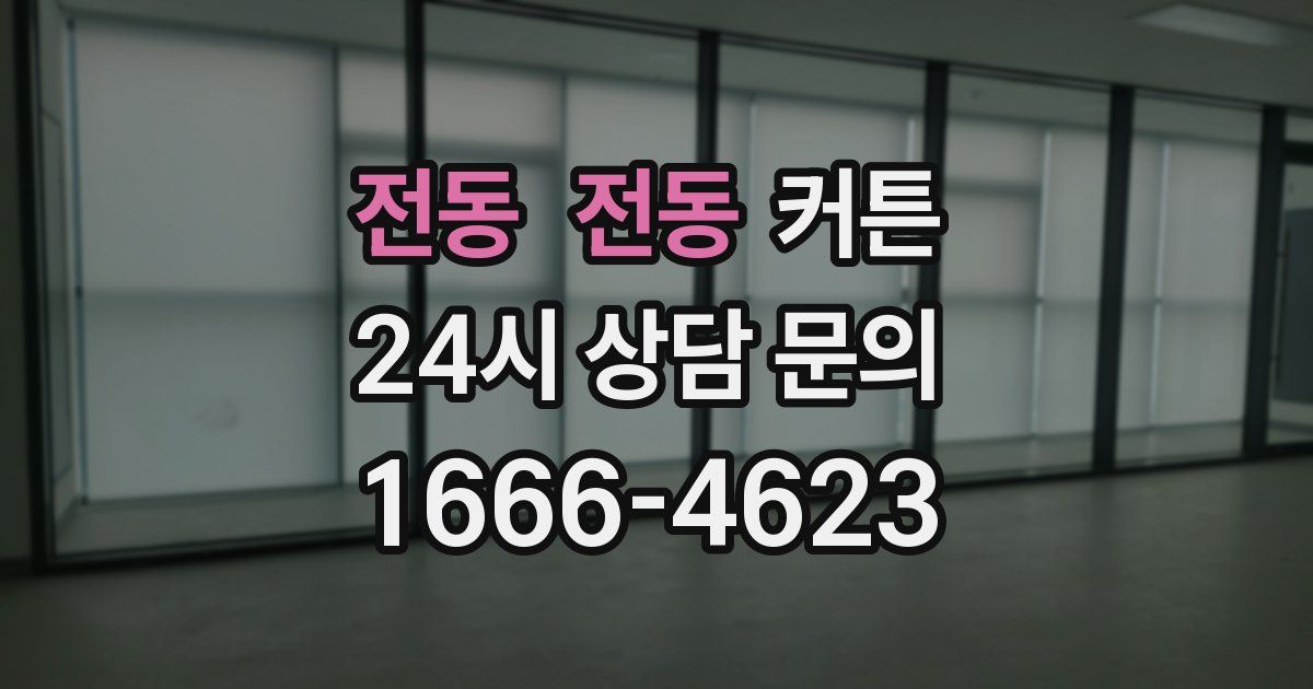 전동 전동 커튼