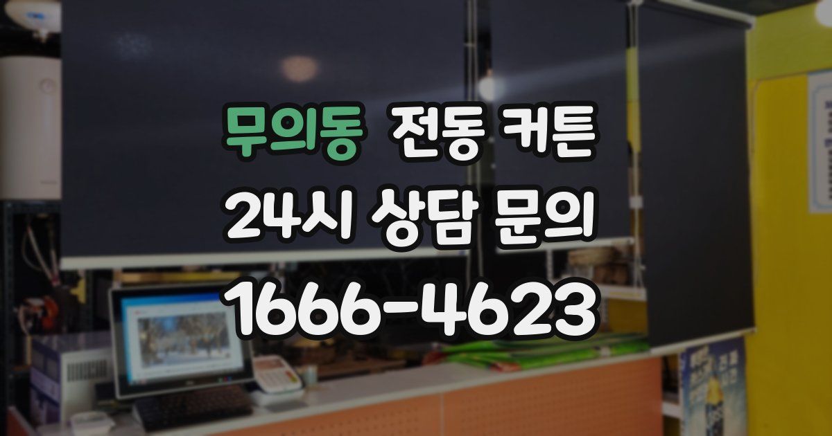 무의동 전동 커튼
