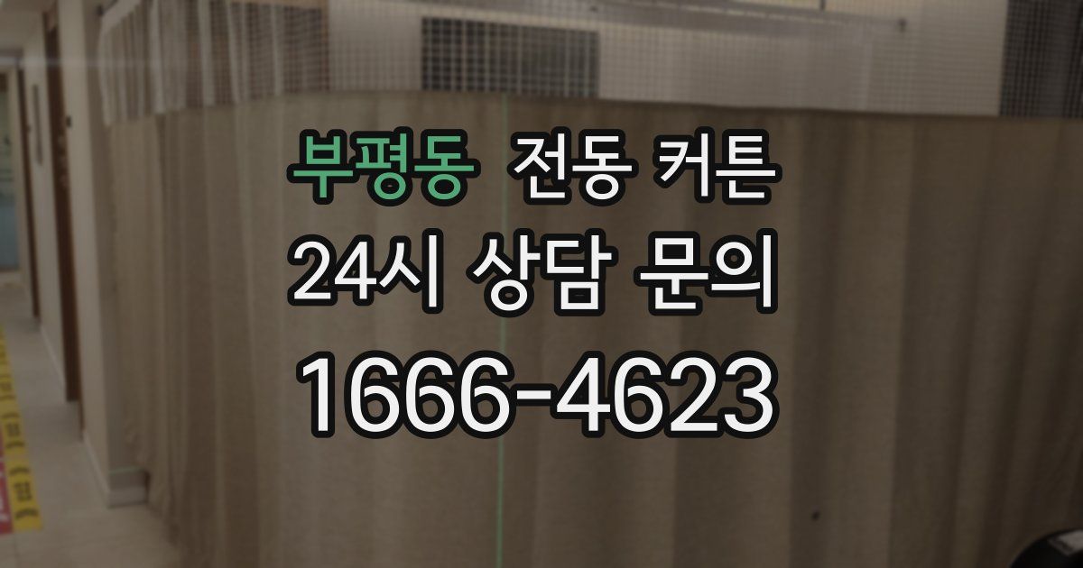 부평동 전동 커튼