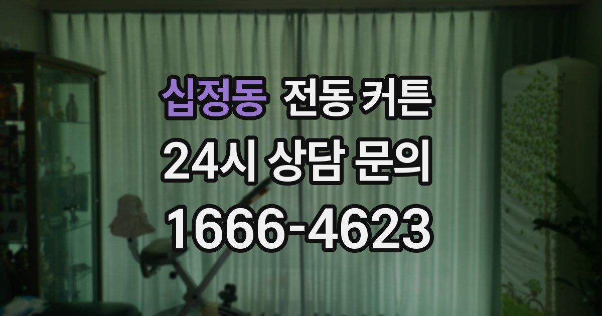 십정동 전동 커튼