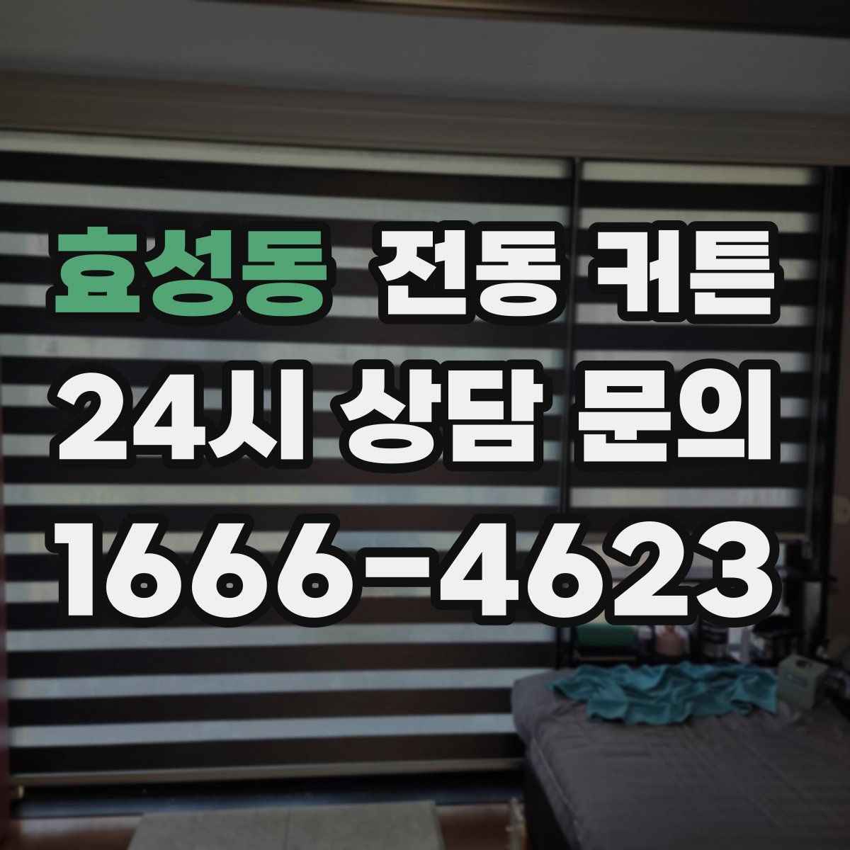 효성동 전동 커튼