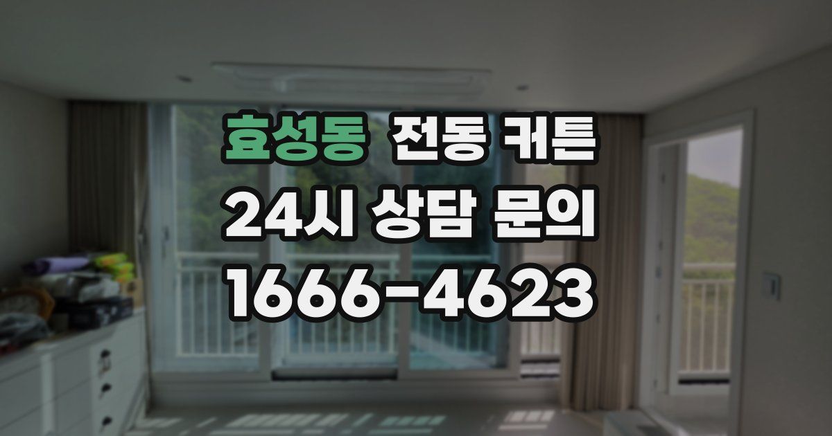 효성동 전동 커튼
