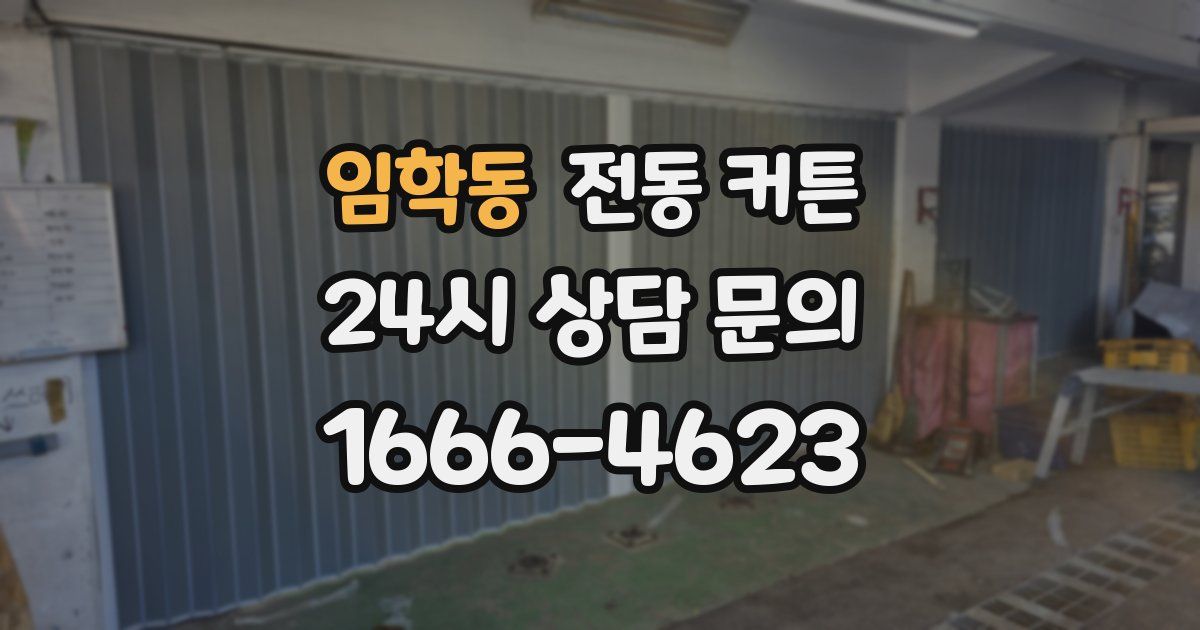 임학동 전동 커튼