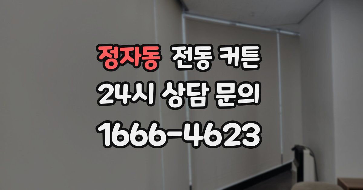 정자동 전동 커튼