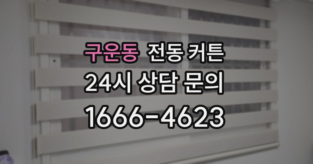 구운동 전동 커튼