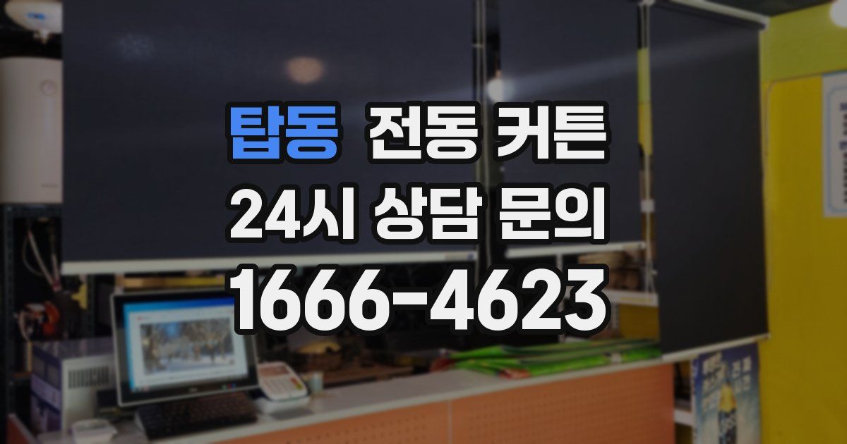 탑동 전동 커튼