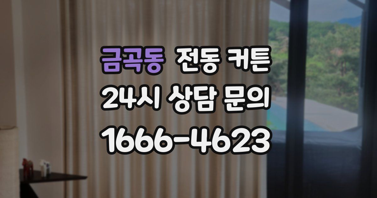 금곡동 전동 커튼
