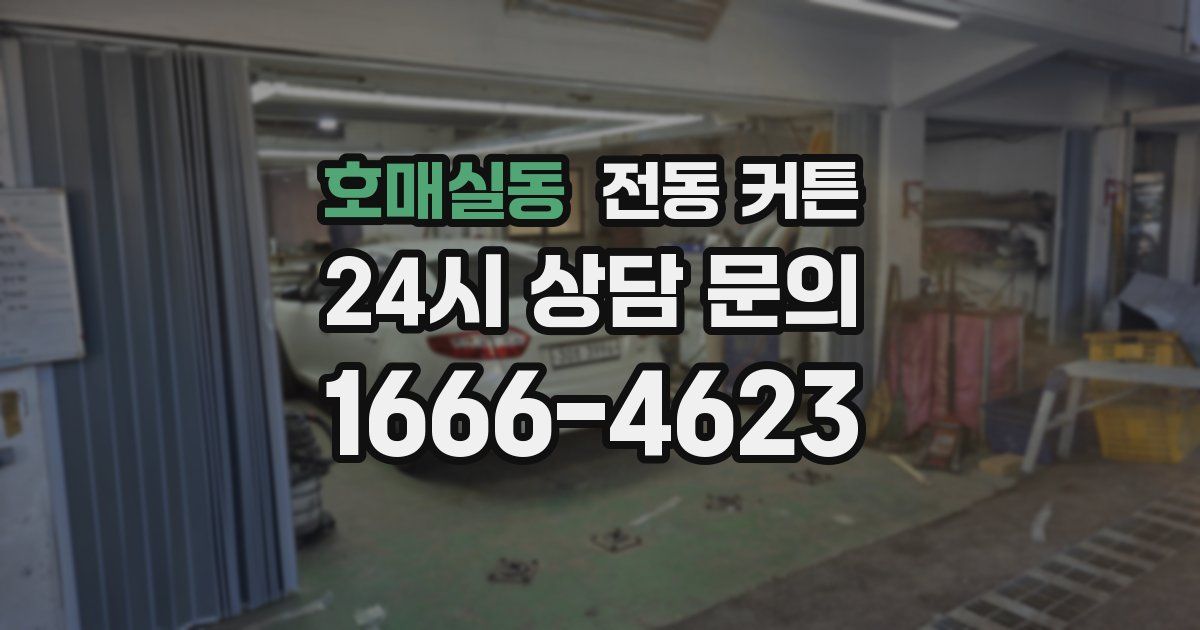호매실동 전동 커튼