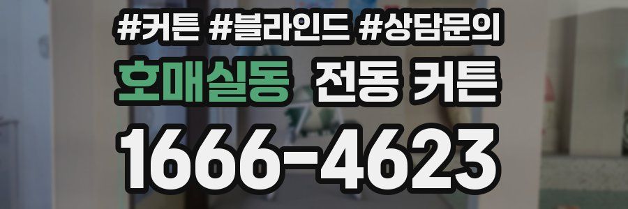 호매실동 전동 커튼