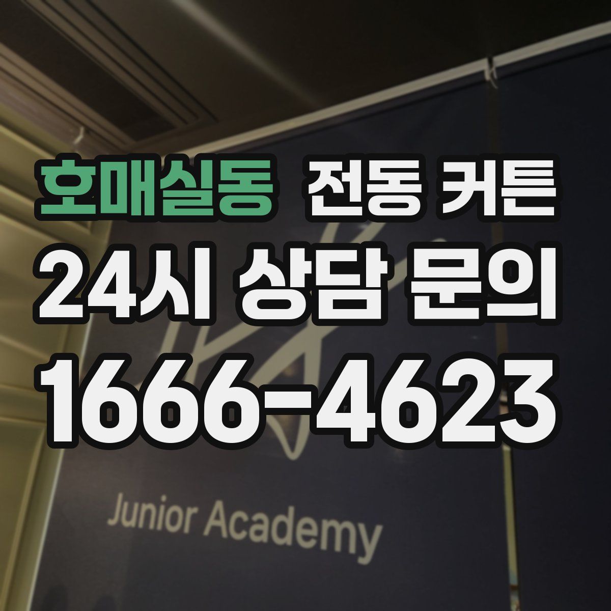 호매실동 전동 커튼