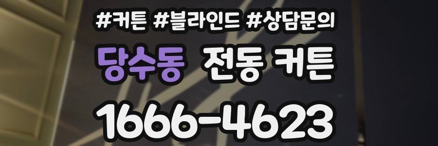 당수동 전동 커튼