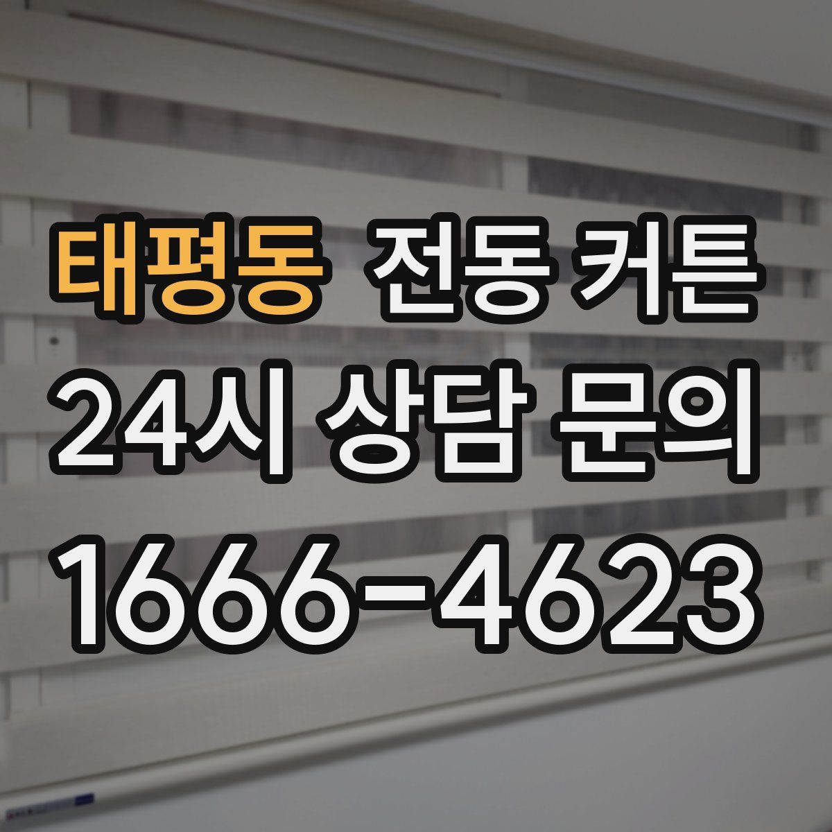 태평동 전동 커튼