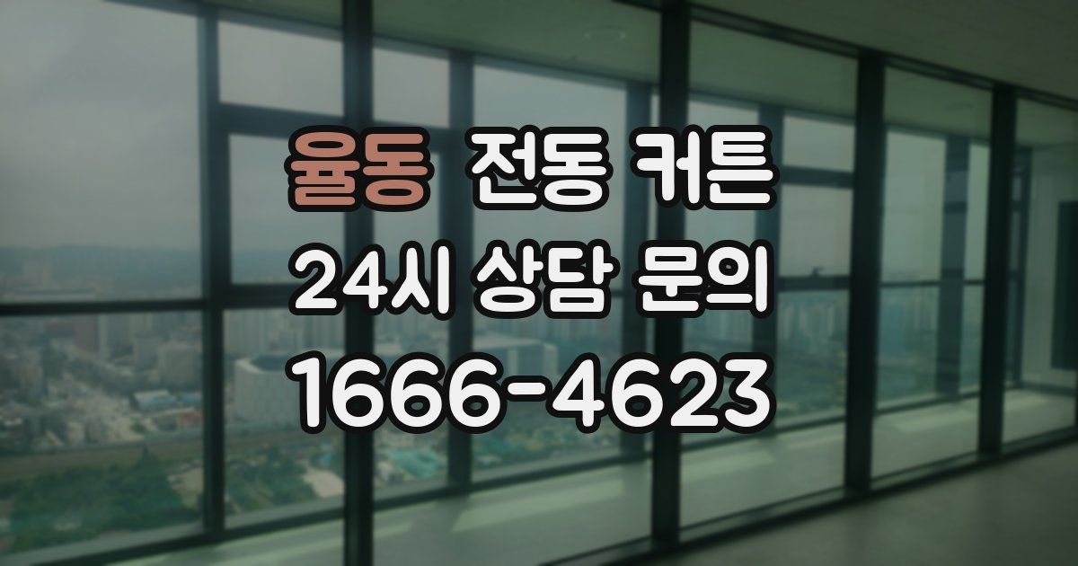 율동 전동 커튼