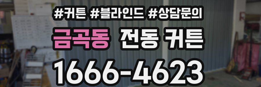 금곡동 전동 커튼