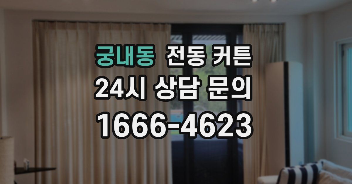 궁내동 전동 커튼