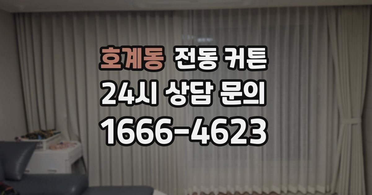 호계동 전동 커튼