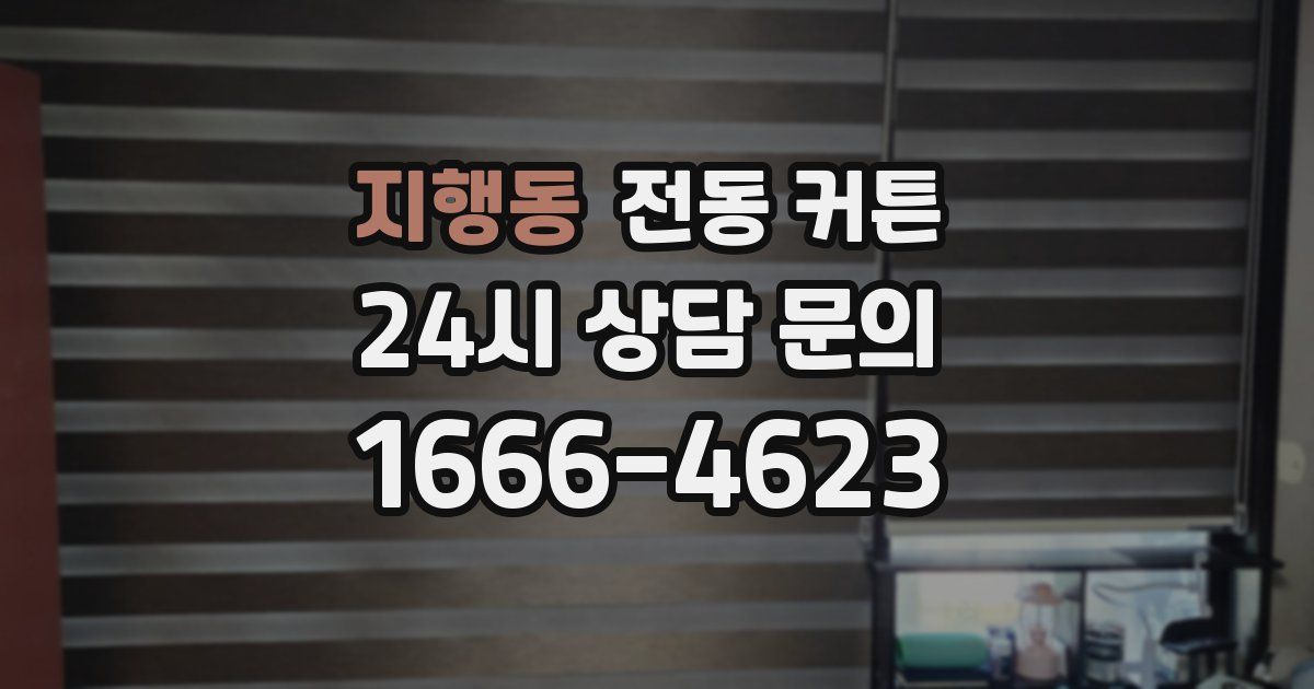 지행동 전동 커튼