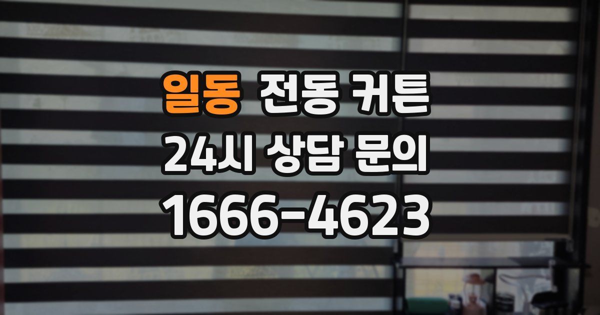 일동 전동 커튼
