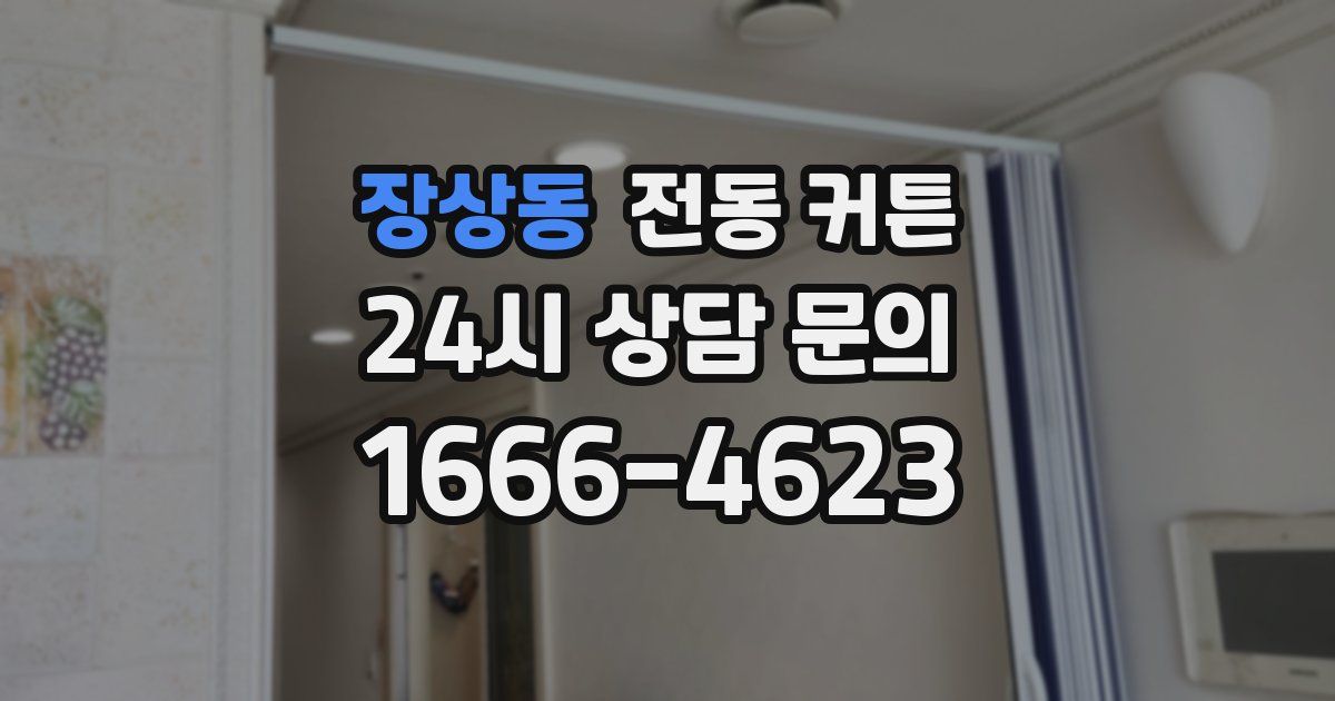 장상동 전동 커튼